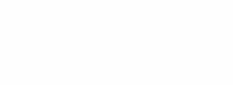 Sinister Diesel