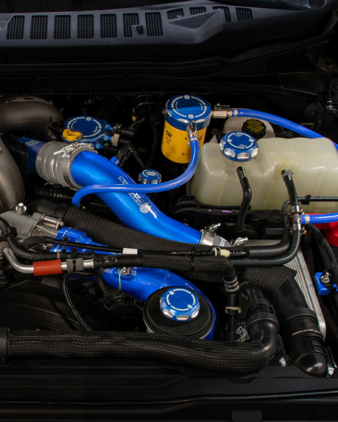Sinister Diesel Blue Color